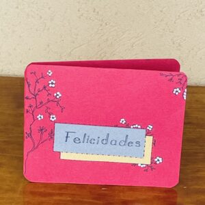 Tarjeta Modelo 17